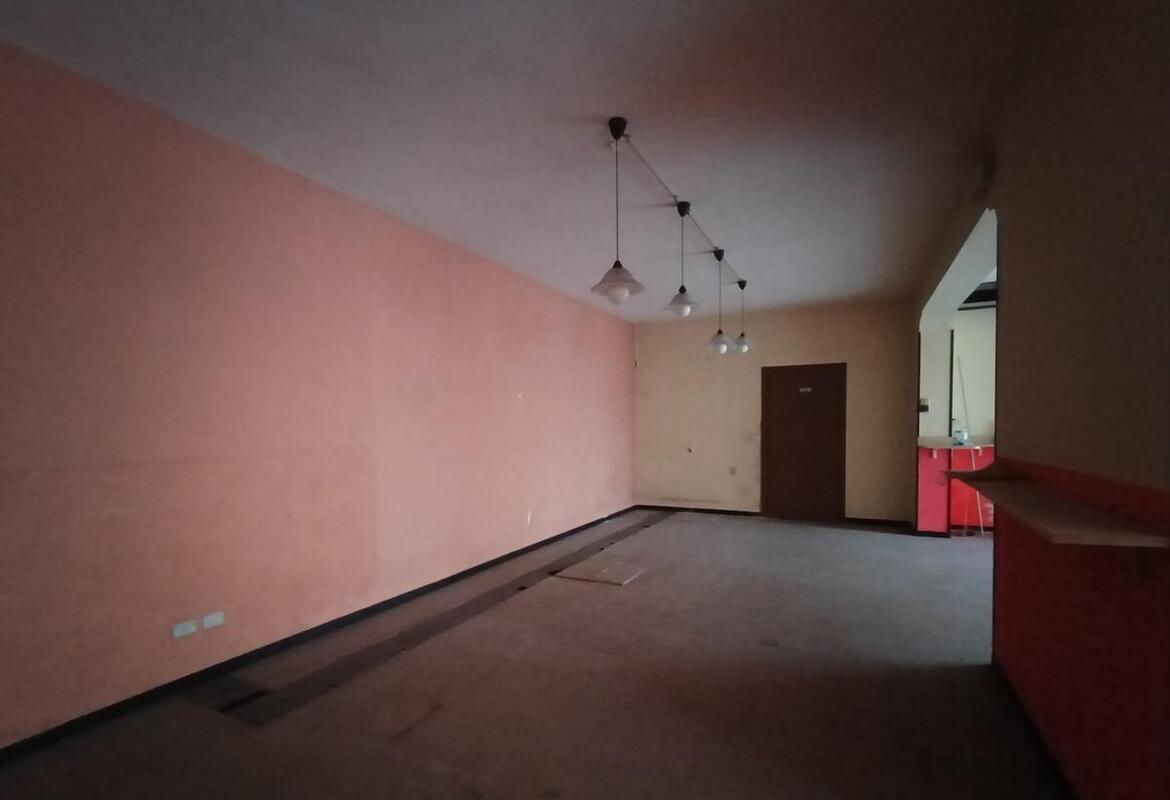 APPARTAMENTO E NEGOZIO