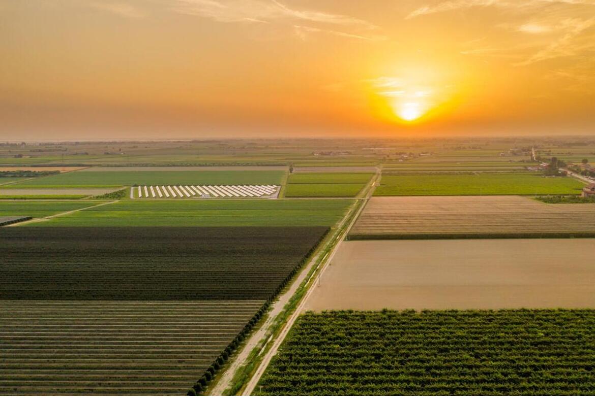 TERRENO AGRICOLO CON ABITAZIONE
