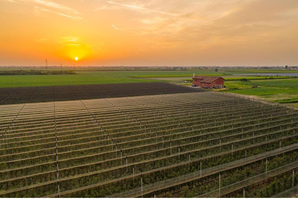 TERRENO AGRICOLO CON ABITAZIONE